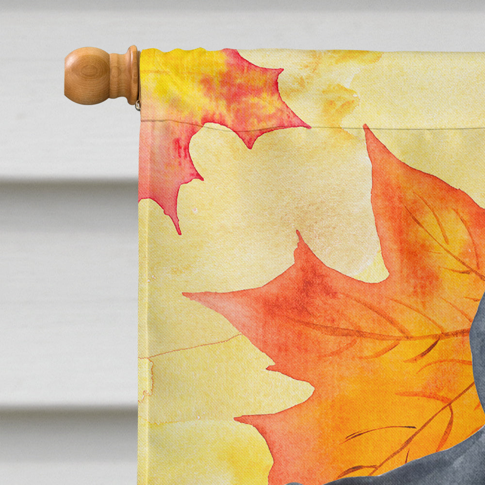 Cane Corso Fall House Flag 28x40 Porch Sleeve Pole Decorative Outside Yard Banner Artwork Wall Hanging, Polyester