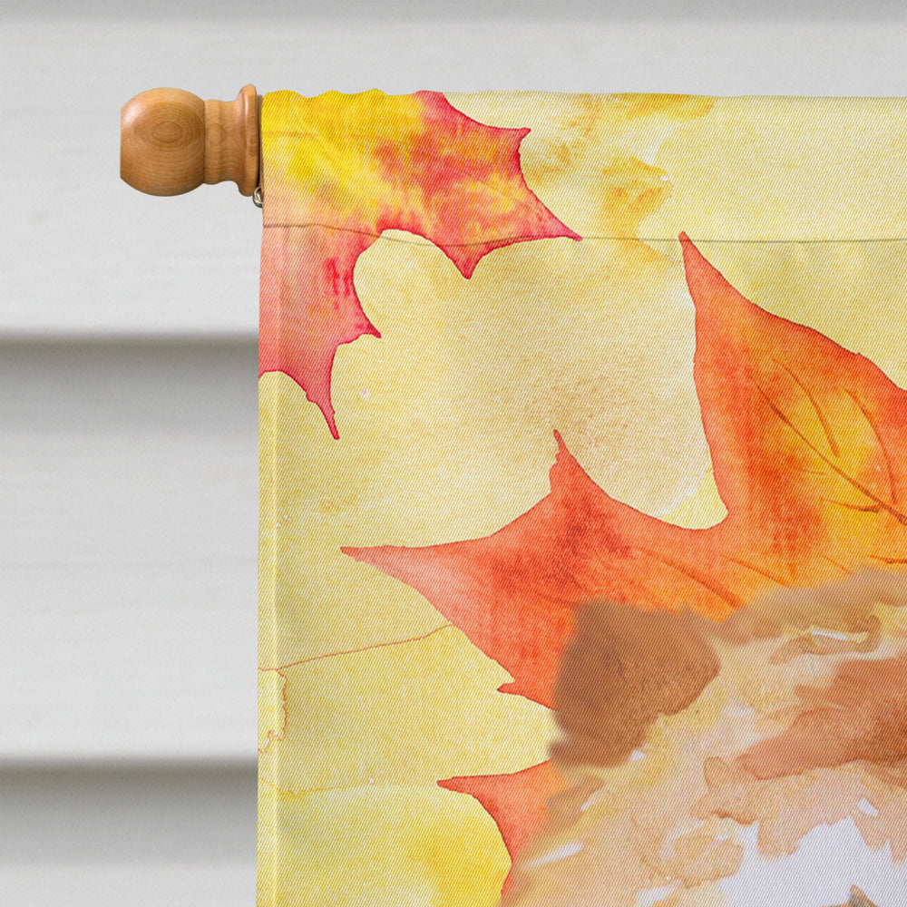 Cane Corso Fall House Flag 28x40 Porch Sleeve Pole Decorative Outside Yard Banner Artwork Wall Hanging, Polyester