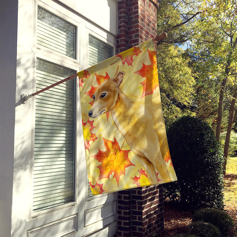 Italian Greyhound Fall House Flag 28x40 Porch Sleeve Pole Decorative Outside Yard Banner Artwork Wall Hanging, Polyester