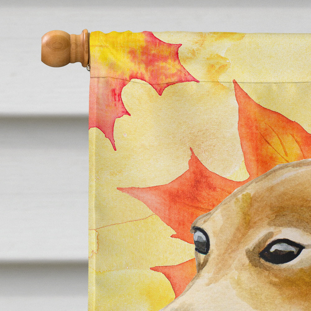 Italian Greyhound Fall House Flag 28x40 Porch Sleeve Pole Decorative Outside Yard Banner Artwork Wall Hanging, Polyester