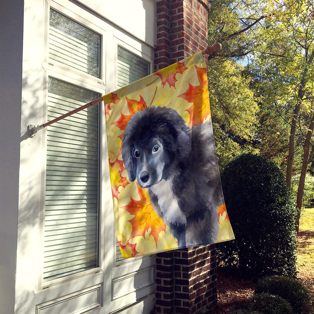 Newfoundland Puppy Fall House Flag 28x40 Porch Sleeve Pole Decorative Outside Yard Banner Artwork Wall Hanging, Polyester