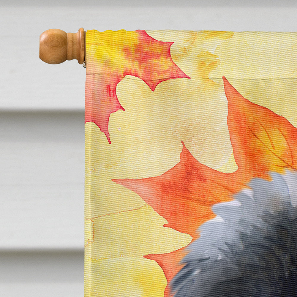 Newfoundland Puppy Fall House Flag 28x40 Porch Sleeve Pole Decorative Outside Yard Banner Artwork Wall Hanging, Polyester
