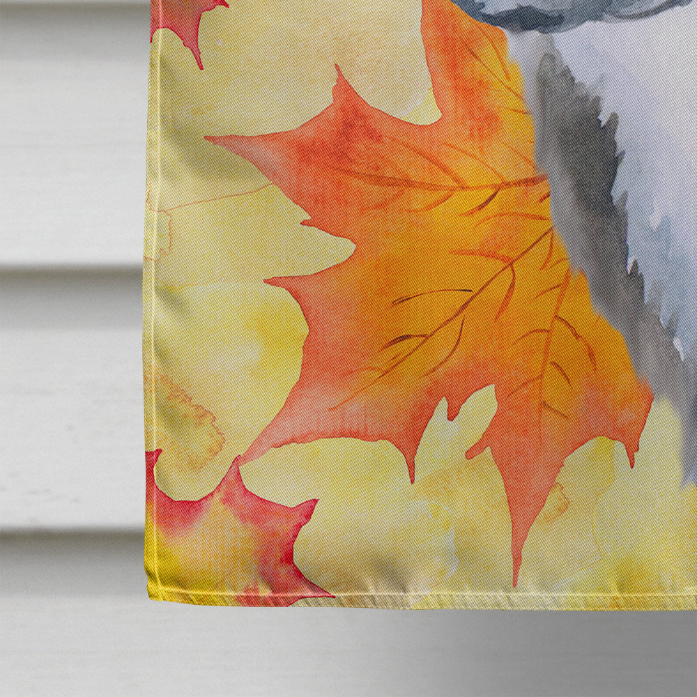 Newfoundland Puppy Fall House Flag 28x40 Porch Sleeve Pole Decorative Outside Yard Banner Artwork Wall Hanging, Polyester