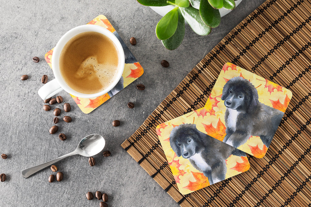 Newfoundland Puppy Fall Foam Coasters Set of 4 Cup Coasters for Indoor Outdoor, Tabletop Protection, Anti Slip, Mouse pad Material