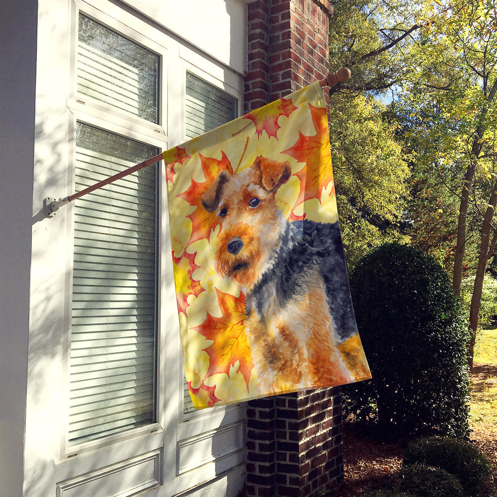 Welsh Terrier Fall House Flag 28x40 Porch Sleeve Pole Decorative Outside Yard Banner Artwork Wall Hanging, Polyester