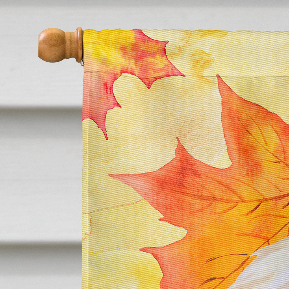 Afghan Hound Fall House Flag 28x40 Porch Sleeve Pole Decorative Outside Yard Banner Artwork Wall Hanging, Polyester