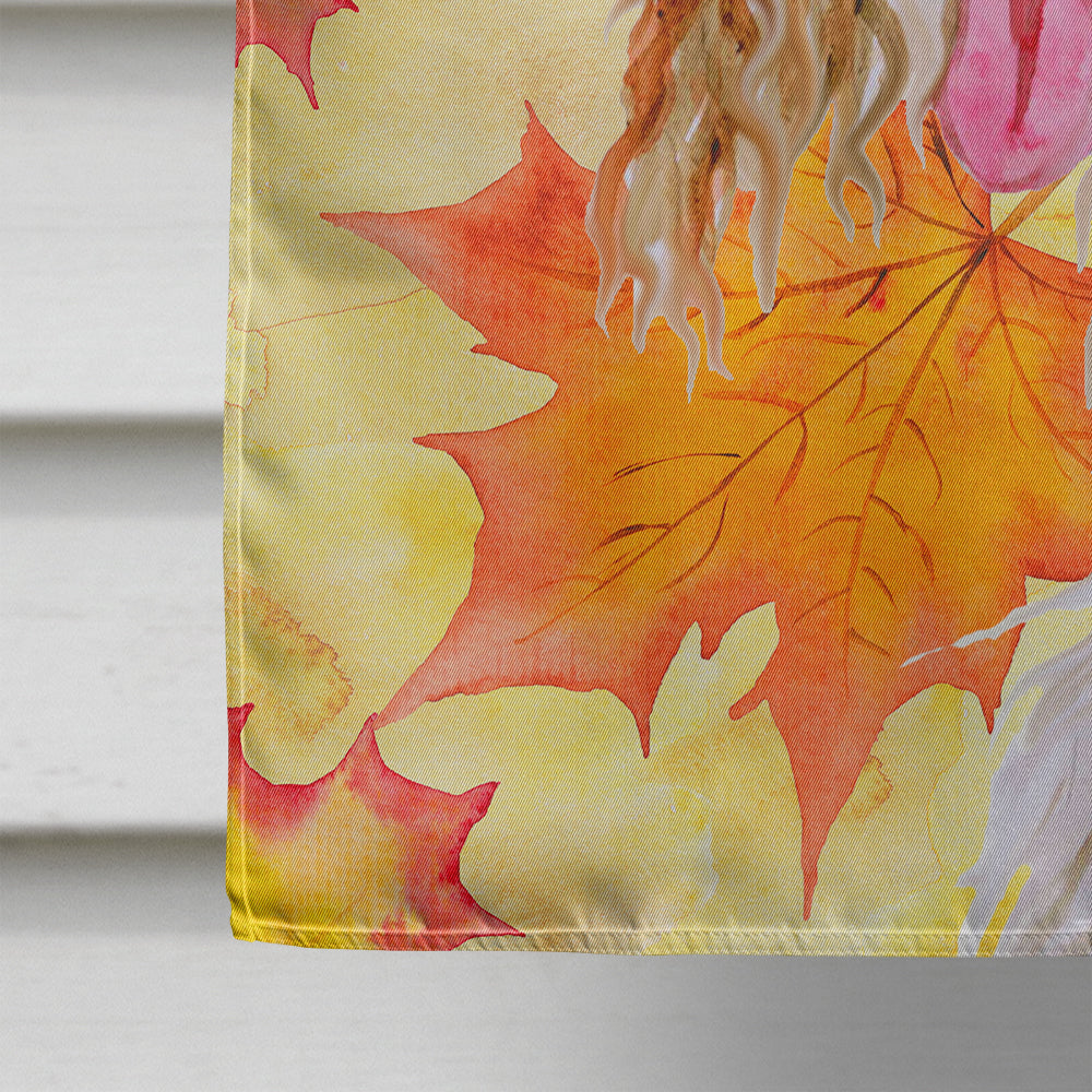 Afghan Hound Fall House Flag 28x40 Porch Sleeve Pole Decorative Outside Yard Banner Artwork Wall Hanging, Polyester