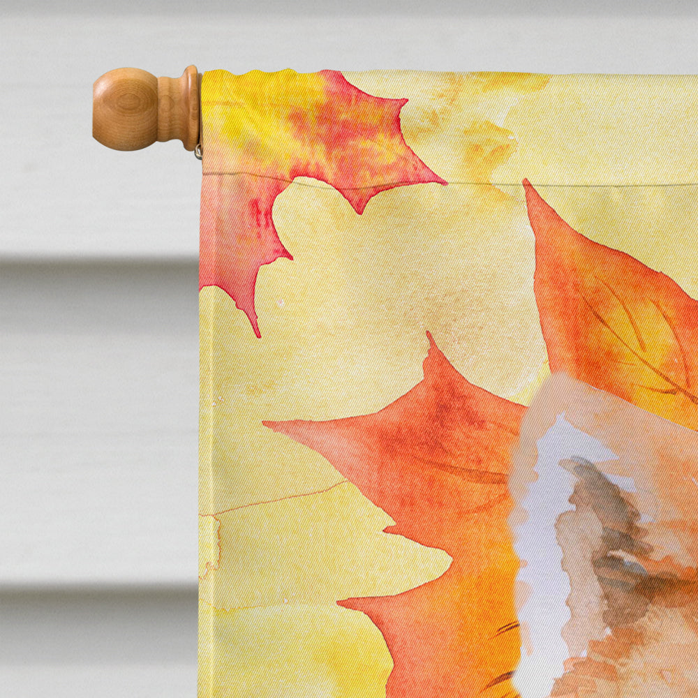 Akita Fall House Flag 28x40 Porch Sleeve Pole Decorative Outside Yard Banner Artwork Wall Hanging, Polyester
