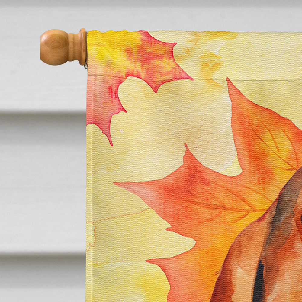 Basset Hound Fall House Flag 28x40 Porch Sleeve Pole Decorative Outside Yard Banner Artwork Wall Hanging, Polyester