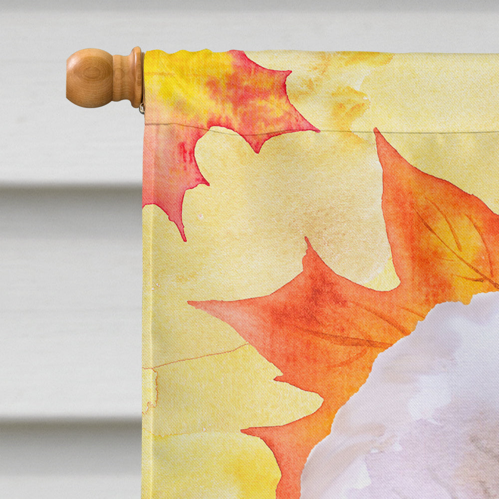Bichon Frise #2 Fall House Flag 28x40 Porch Sleeve Pole Decorative Outside Yard Banner Artwork Wall Hanging, Polyester
