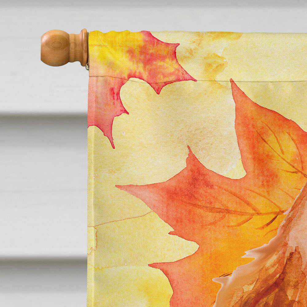 Cocker Spaniel Fall House Flag 28x40 Porch Sleeve Pole Decorative Outside Yard Banner Artwork Wall Hanging, Polyester