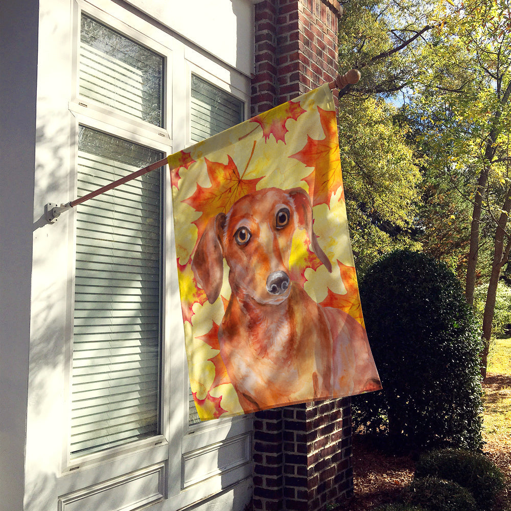 Red Dachshund Fall House Flag 28x40 Porch Sleeve Pole Decorative Outside Yard Banner Artwork Wall Hanging, Polyester