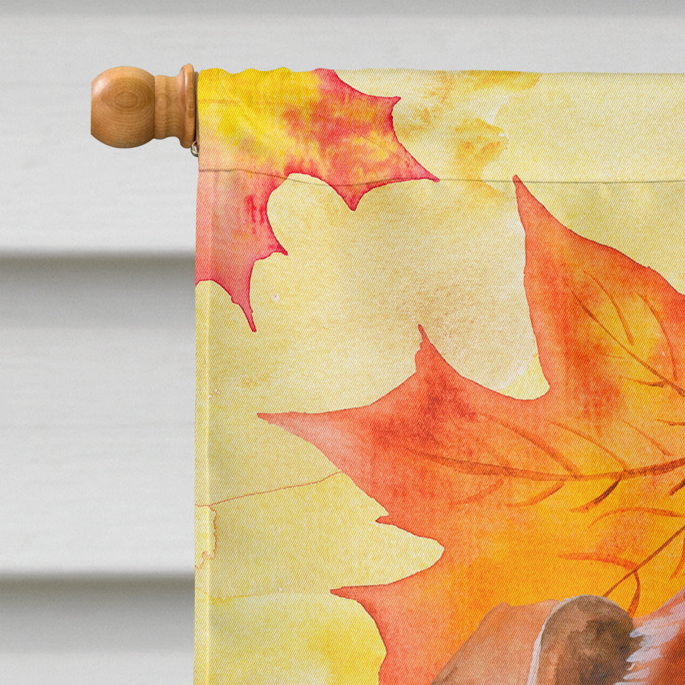 Red Dachshund Fall House Flag 28x40 Porch Sleeve Pole Decorative Outside Yard Banner Artwork Wall Hanging, Polyester
