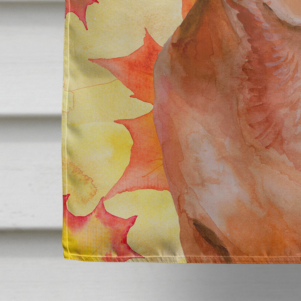 Red Dachshund Fall House Flag 28x40 Porch Sleeve Pole Decorative Outside Yard Banner Artwork Wall Hanging, Polyester