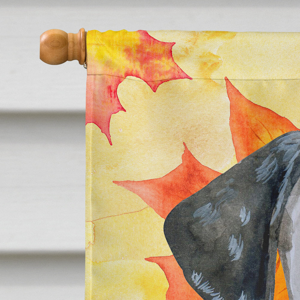 Dalmatian Puppy Fall House Flag 28x40 Porch Sleeve Pole Decorative Outside Yard Banner Artwork Wall Hanging, Polyester