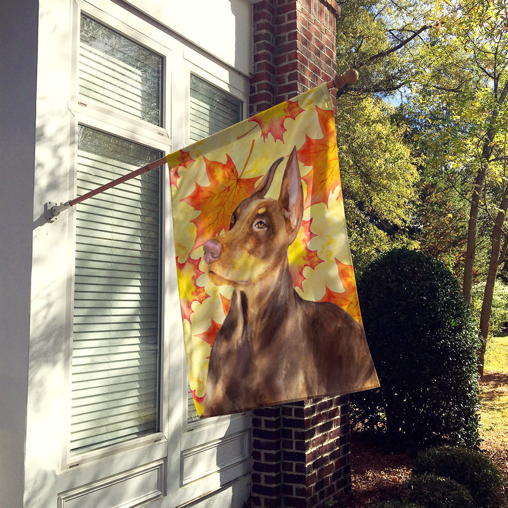 Doberman Pinscher Fall House Flag 28x40 Porch Sleeve Pole Decorative Outside Yard Banner Artwork Wall Hanging, Polyester