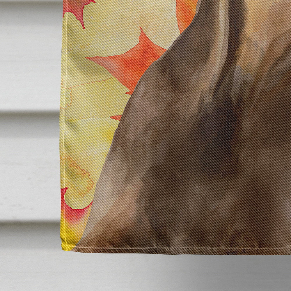 Doberman Pinscher Fall House Flag 28x40 Porch Sleeve Pole Decorative Outside Yard Banner Artwork Wall Hanging, Polyester