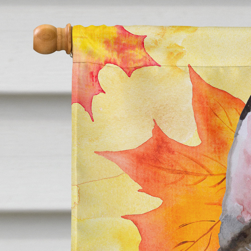 Siberian Husky #2 Fall House Flag 28x40 Porch Sleeve Pole Decorative Outside Yard Banner Artwork Wall Hanging, Polyester