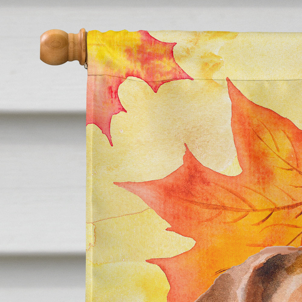 Jack Russell Terrier #2 Fall House Flag 28x40 Porch Sleeve Pole Decorative Outside Yard Banner Artwork Wall Hanging, Polyester