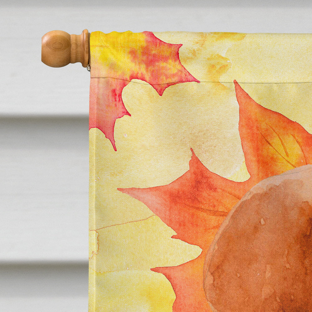 Labrador Retriever Fall House Flag 28x40 Porch Sleeve Pole Decorative Outside Yard Banner Artwork Wall Hanging, Polyester