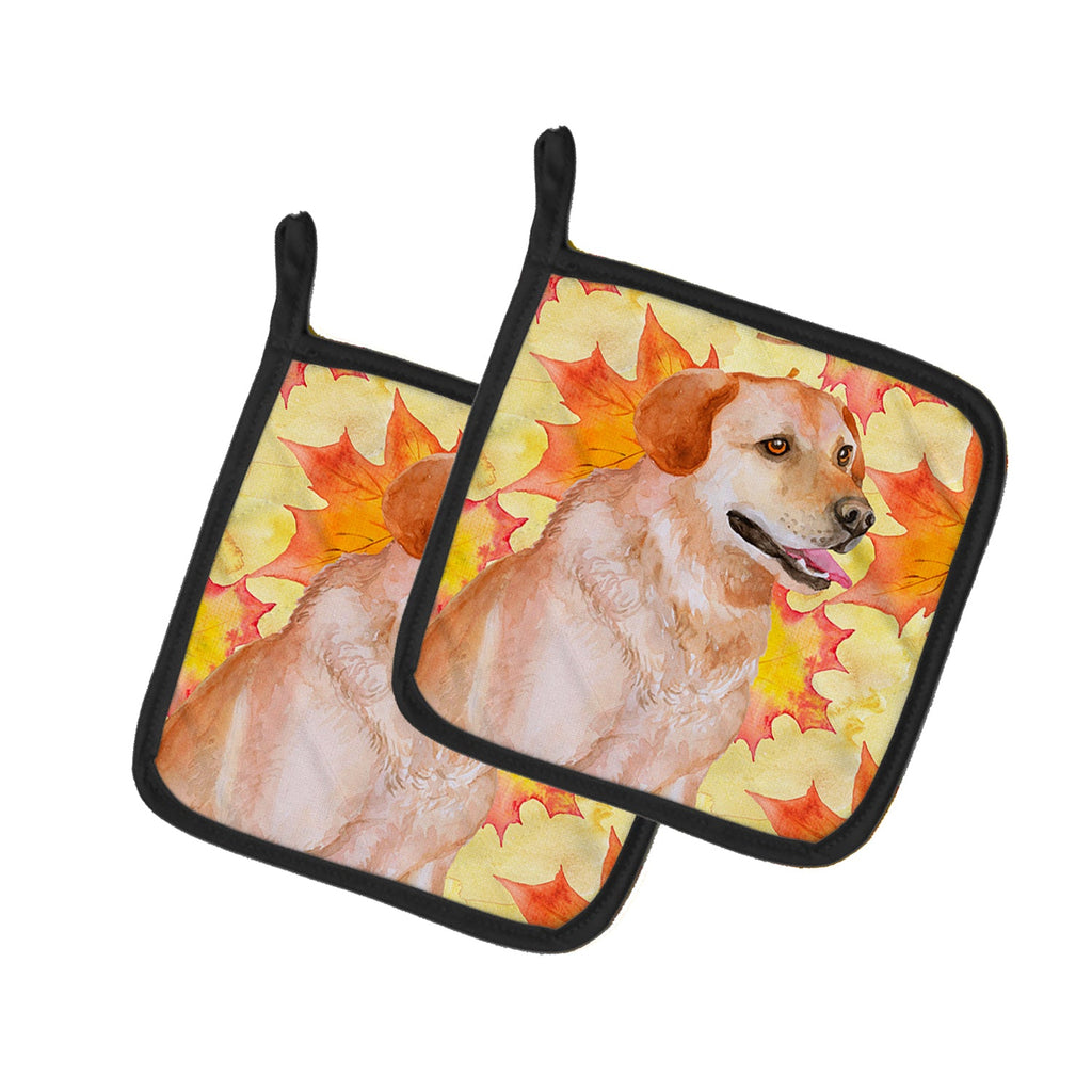 Labrador Retriever Fall Pot Holder Set of 2 Heat Resistant Quilted Hot Pads 7.5 x 7.5 Inch, Insulated Kitchen Trivets for Cooking & Baking