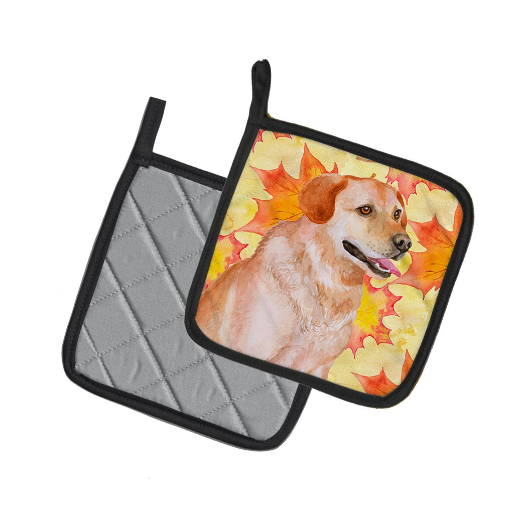 Labrador Retriever Fall Pot Holder Set of 2 Heat Resistant Quilted Hot Pads 7.5 x 7.5 Inch, Insulated Kitchen Trivets for Cooking & Baking