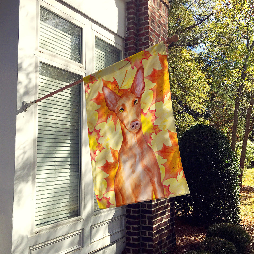 Pharaoh Hound Fall House Flag 28x40 Porch Sleeve Pole Decorative Outside Yard Banner Artwork Wall Hanging, Polyester