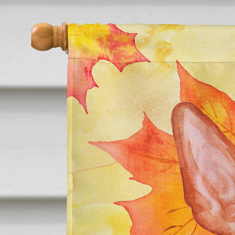 Pharaoh Hound Fall House Flag 28x40 Porch Sleeve Pole Decorative Outside Yard Banner Artwork Wall Hanging, Polyester