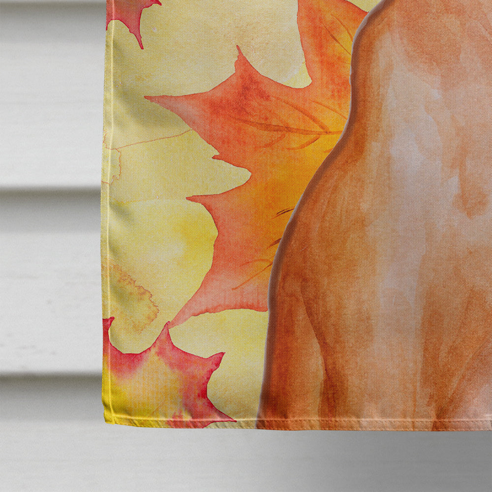 Pharaoh Hound Fall House Flag 28x40 Porch Sleeve Pole Decorative Outside Yard Banner Artwork Wall Hanging, Polyester