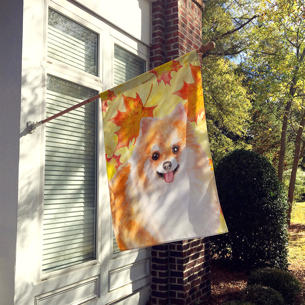 Pomeranian #2 Fall House Flag 28x40 Porch Sleeve Pole Decorative Outside Yard Banner Artwork Wall Hanging, Polyester