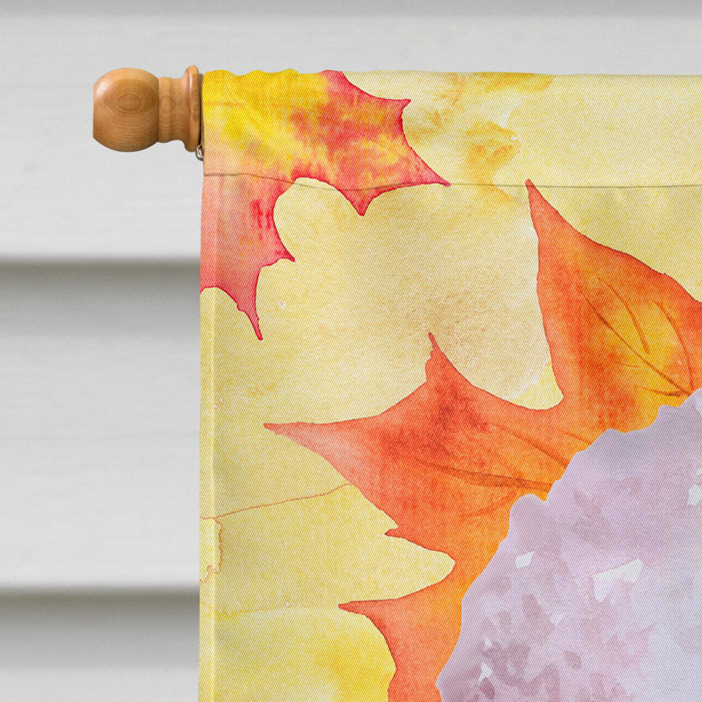 White Standard Poodle Fall House Flag 28x40 Porch Sleeve Pole Decorative Outside Yard Banner Artwork Wall Hanging, Polyester