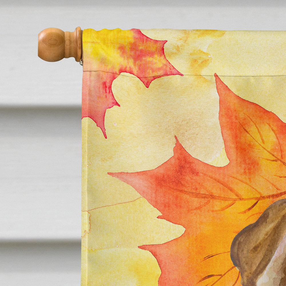 Shar Pei Puppy Fall House Flag 28x40 Porch Sleeve Pole Decorative Outside Yard Banner Artwork Wall Hanging, Polyester