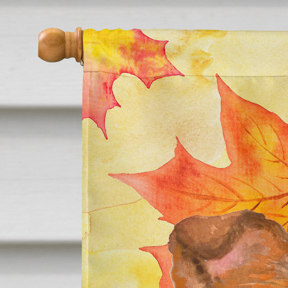 Sheltie Fall House Flag 28x40 Porch Sleeve Pole Decorative Outside Yard Banner Artwork Wall Hanging, Polyester