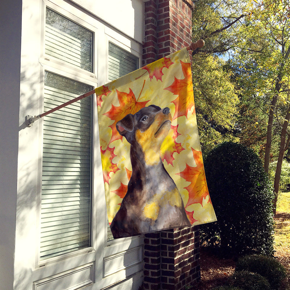 Miniature Pinscher #2 Fall House Flag 28x40 Porch Sleeve Pole Decorative Outside Yard Banner Artwork Wall Hanging, Polyester