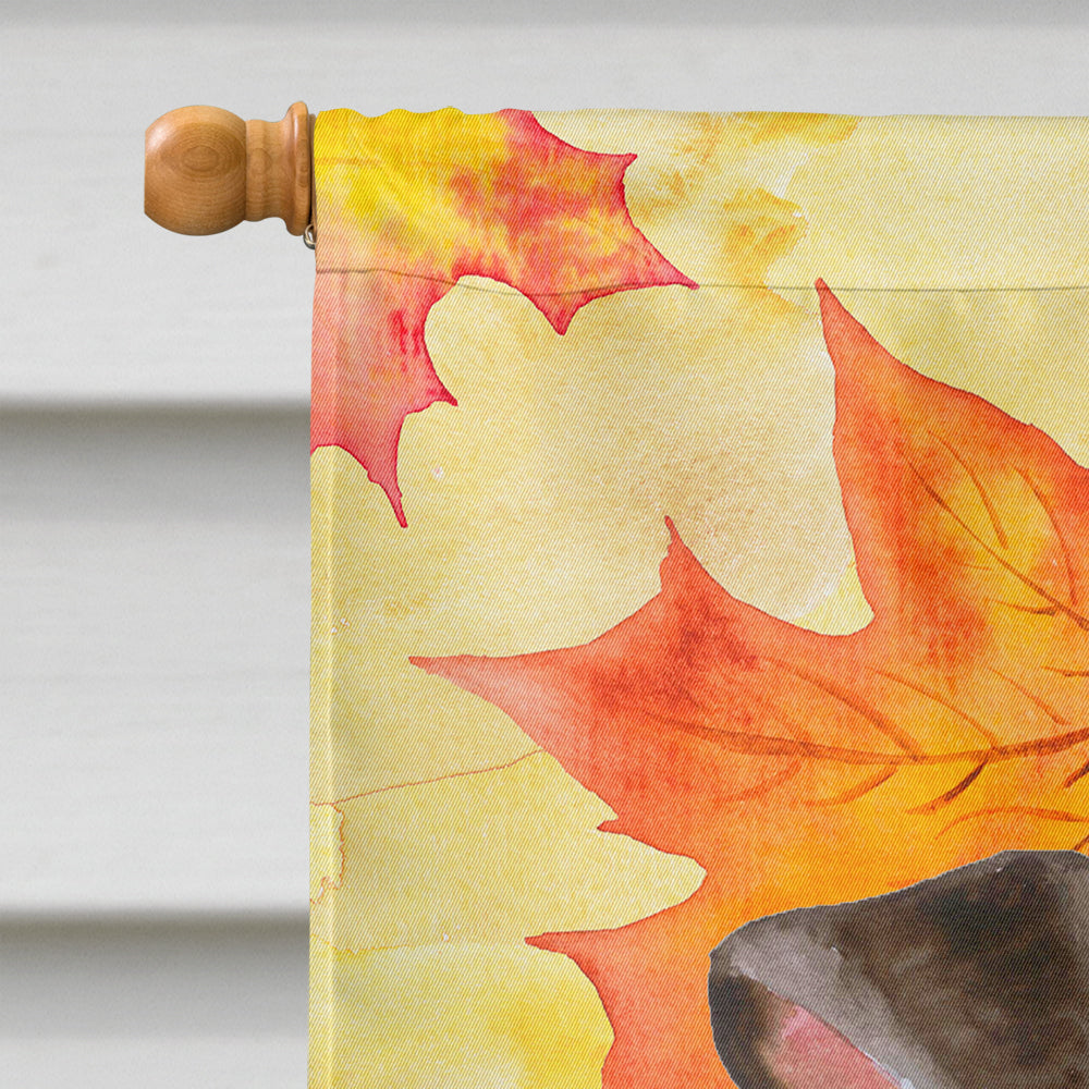 Miniature Pinscher #2 Fall House Flag 28x40 Porch Sleeve Pole Decorative Outside Yard Banner Artwork Wall Hanging, Polyester