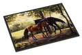 Horses by Daphne Baxter Doormat Indoor Outdoor 24H X 36W Front Door Mat Rugs for Entryway, Non Slip Washable Low Pile,