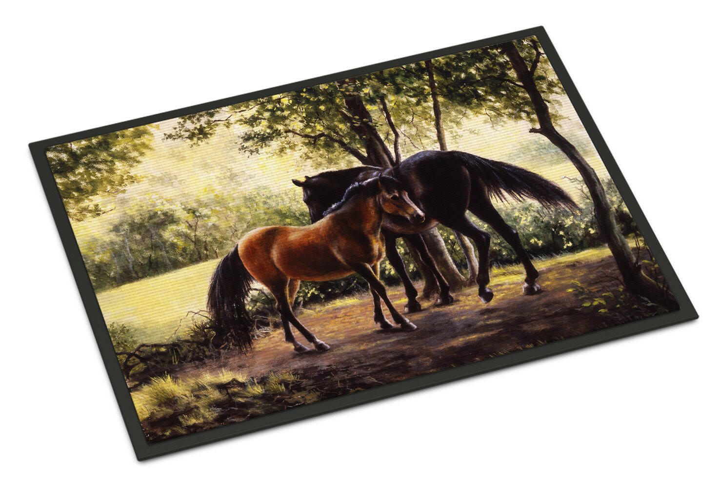 Horses by Daphne Baxter Doormat Indoor Outdoor 24H X 36W Front Door Mat Rugs for Entryway, Non Slip Washable Low Pile,