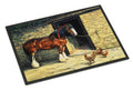 Horse and Chickens by Daphne Baxter Doormat Indoor Outdoor 18H X 27W Front Door Mat Rugs for Entryway, Non Slip Washable