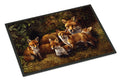 Fox Family Foxes by Daphne Baxter Doormat Indoor Outdoor 24H X 36W Front Door Mat Rugs for Entryway, Non Slip Washable Low Pile,