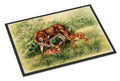 Deer by Daphne Baxter Doormat Indoor Outdoor 24H X 36W Front Door Mat Rugs for Entryway, Non Slip Washable Low Pile,