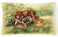 Deer by Daphne Baxter Decorative Throw Pillow 12x16 Indoor Outdoor Accent Cushion, Fabric Cover with Insert for Sofa, Bed, Porch & Living Room