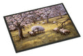 Sheep by Daphne Baxter Doormat Indoor Outdoor 24H X 36W Front Door Mat Rugs for Entryway, Non Slip Washable Low Pile,