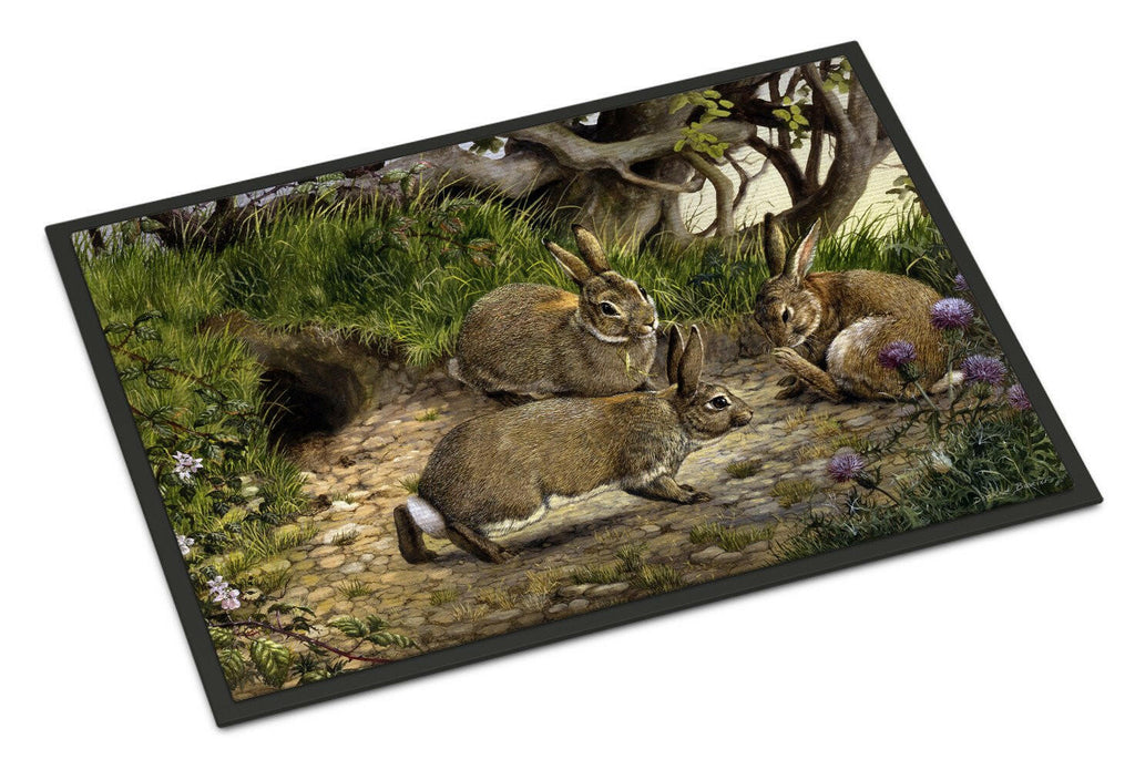 Rabbits and the Rabbit Hole Doormat Indoor Outdoor 24H X 36W Front Door Mat Rugs for Entryway, Non Slip Washable Low Pile,