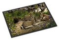 Rabbits and the Rabbit Hole Doormat Indoor Outdoor 24H X 36W Front Door Mat Rugs for Entryway, Non Slip Washable Low Pile,