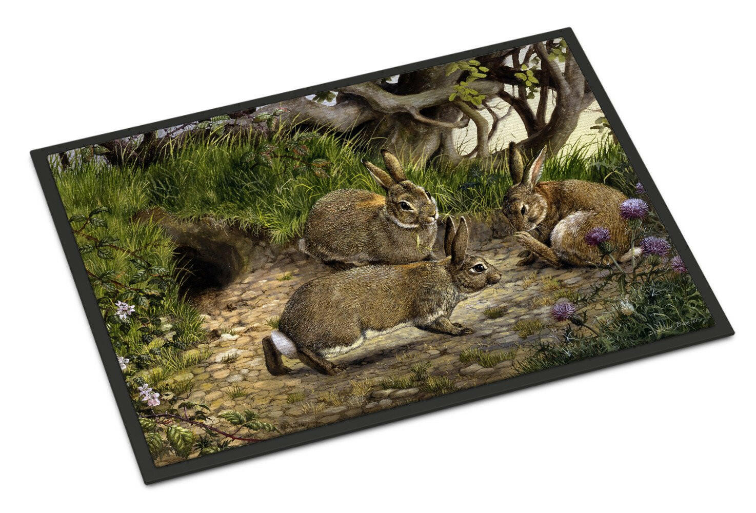 Rabbits and the Rabbit Hole Doormat Indoor Outdoor 24H X 36W Front Door Mat Rugs for Entryway, Non Slip Washable Low Pile,