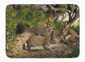 Rabbits and the Rabbit Hole Memory Foam Kitchen Mat Machine Washable Anti-Fatigue Cushion Comfort Bath or Kitchen Rug