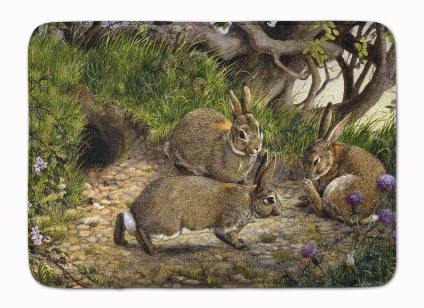 Rabbits and the Rabbit Hole Memory Foam Kitchen Mat Machine Washable Anti-Fatigue Cushion Comfort Bath or Kitchen Rug