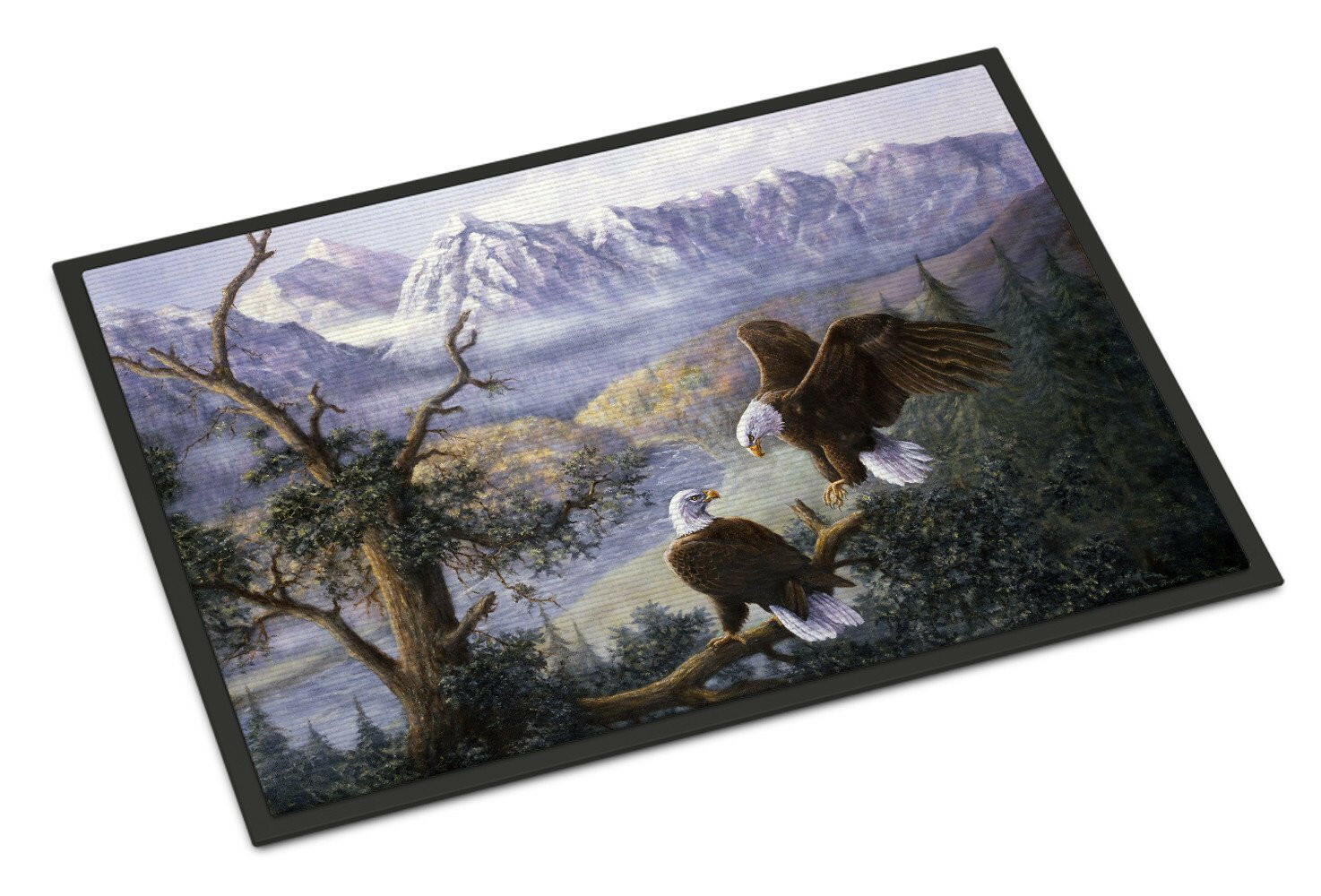 Eagles by Daphne Baxter Doormat Indoor Outdoor 18H X 27W Front Door Mat Rugs for Entryway, Non Slip Washable