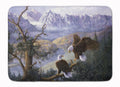 Eagles by Daphne Baxter Memory Foam Kitchen Mat Machine Washable Anti-Fatigue Cushion Comfort Bath or Kitchen Rug