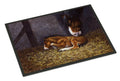 Horse and Her Foal Doormat Indoor Outdoor 24H X 36W Front Door Mat Rugs for Entryway, Non Slip Washable Low Pile,